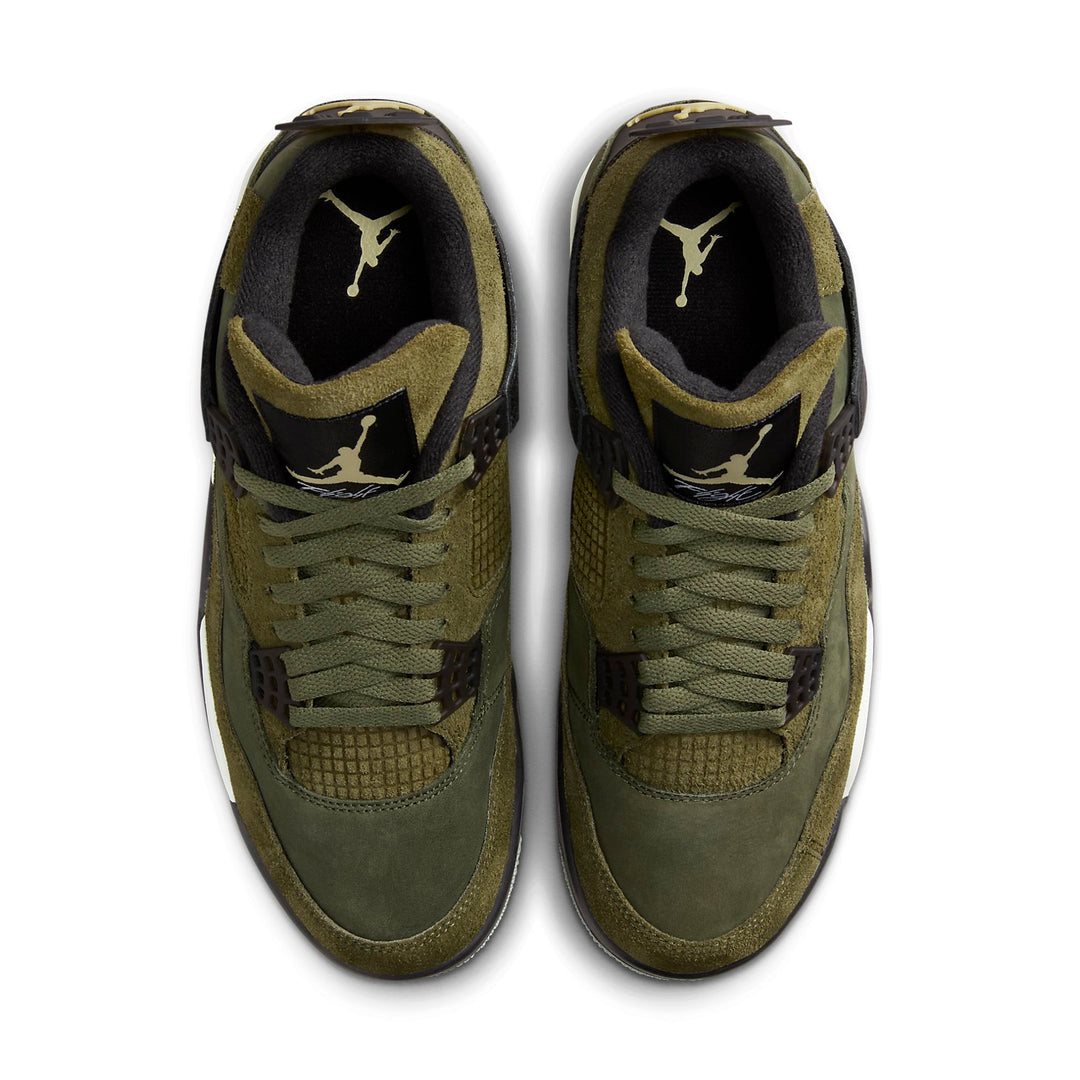 Air Jordan 4 Retro SE