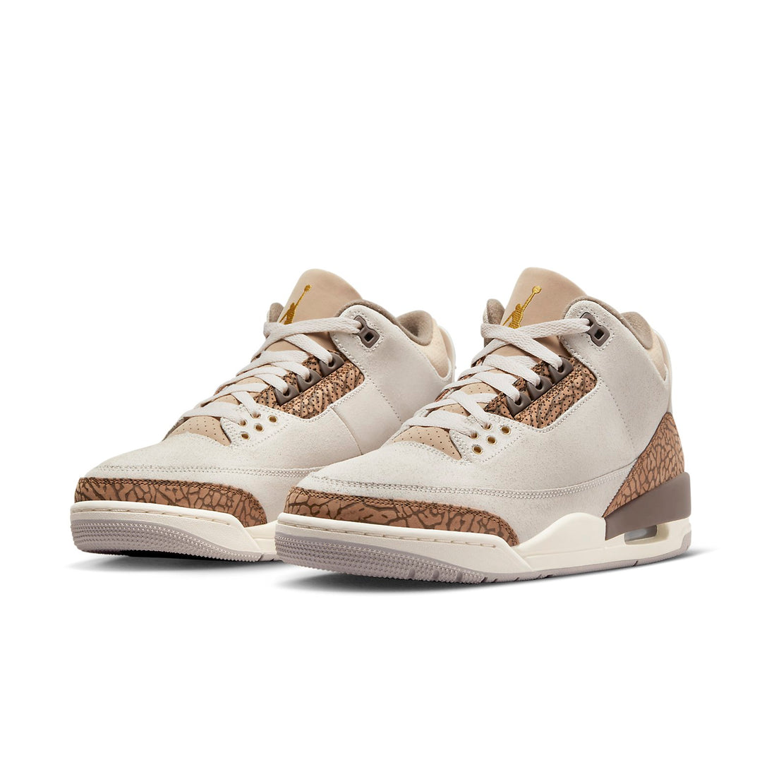Air Jordan 3 Retro