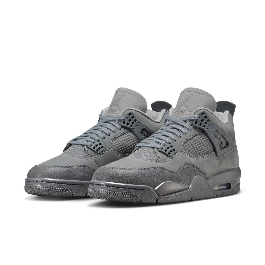 Air Jordan 4 Retro SE