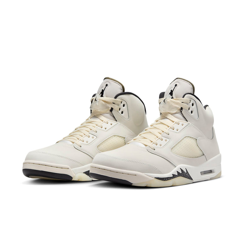 Air Jordan 5 Retro SE