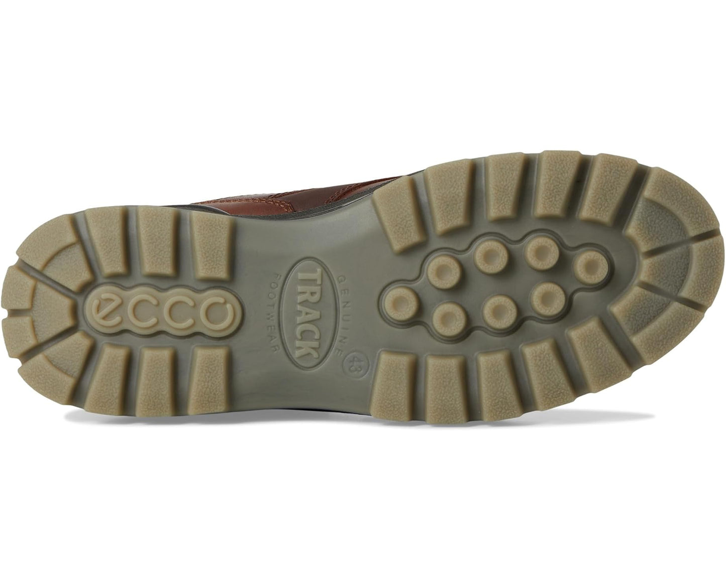Men's ECCO Sport Track 25 Low GORE-TEX Waterproof Hiking Shoe Bison Full Grain Leather